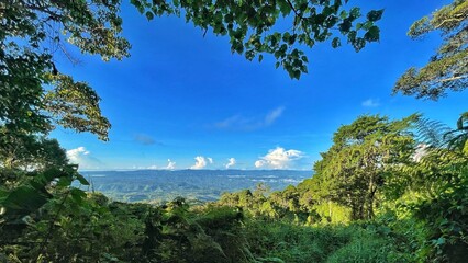 Beautiful central American jungle landscape, nestled in the picturesque Costarican Forest, is a wonderland for nature enthusiasts on Costa Rica. With pristine nature and stunning landscape views.