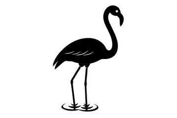 Naklejka premium flamingo silhouette isolated on white