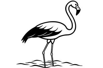 Fototapeta premium A flamingo standing in water vector silhouette on white background