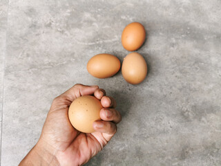 Chicken egg in hand. 