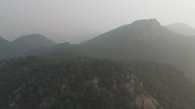 A captivating aerial shot that traces the winding trails cutting through the heart of Matha Forest, where the interplay of shadows and sunlight creates an enchanting sight from above.