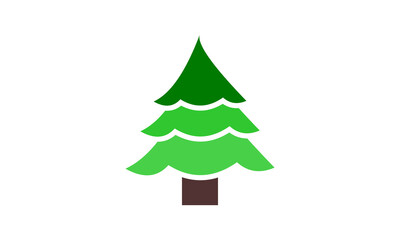 Fototapeta premium Pine Tree Christmas