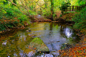 On the banks of Arfon Lleiniog, Anglesey, in autumn.