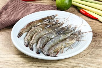 Raw fresh King Tiger prawn