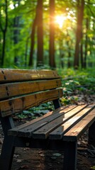 Fototapeta premium Sunlight shining through trees in a forest with a wooden bench