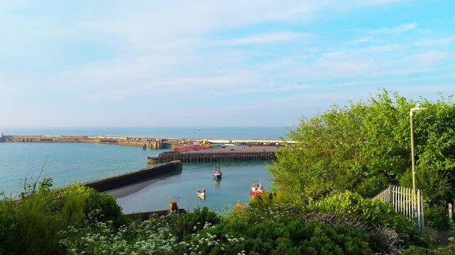 Aerial reveal, seaside vegetation, picturesque marina, channel waters