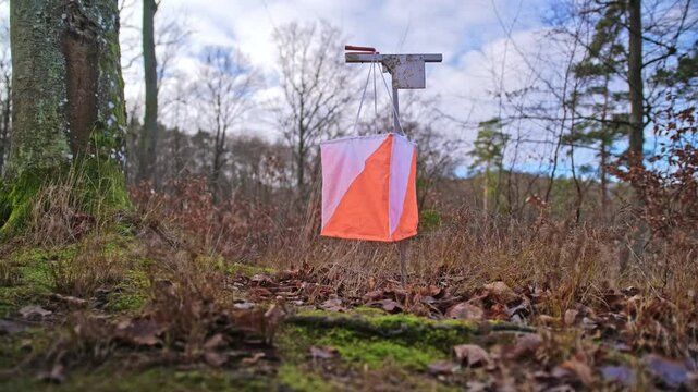 Control Point Scoring Marker at Foot Orienteering Competition Event with International White and Orange Flag