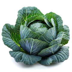Fototapeta premium Fresh green cabbage isolated on white background. (1)