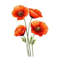 Fototapeta premium Vibrant Watercolor Orange Poppies in Gentle Motion