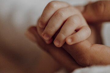 A baby's hand is being held by an adult. The baby's hand is small and delicate, and the adult's...