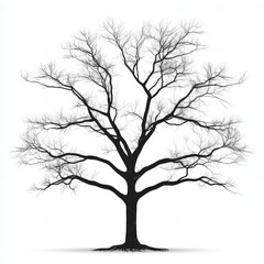 Obraz premium Majestic Silhouette of a Leafless Tree Against a Clean White Background - Photorealistic Botanical Detail