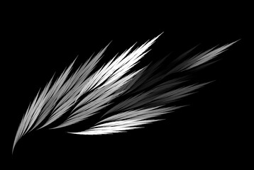 Computer generated fractal pattern and shape