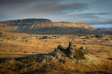 Golden Fields and Rocky Terrain in Icelandic Highlands
