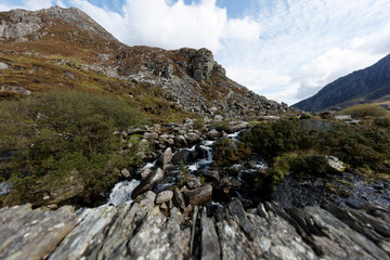 Mountain stream cascades over rocky terrain.  Brush and vegetation thrive amongst the stones.