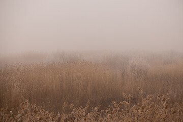 landscape, tree, sky, nature, grass, field, autumn, ice, ice, forest, trees, spring, blue, meadow, winter, clouds, water, season, rural, countryside, road, birch, summer, yellow, cloud, park, dry