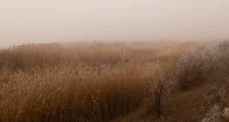 landscape, tree, sky, nature, grass, field, autumn, ice, ice, forest, trees, spring, blue, meadow, winter, clouds, water, season, rural, countryside, road, birch, summer, yellow, cloud, park, dry