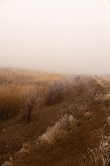 landscape, tree, sky, nature, grass, field, autumn, ice, ice, forest, trees, spring, blue, meadow, winter, clouds, water, season, rural, countryside, road, birch, summer, yellow, cloud, park, dry