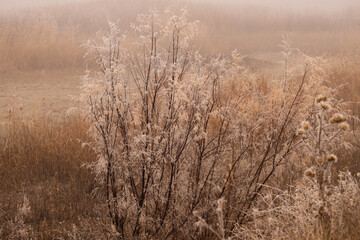 landscape, tree, sky, nature, grass, field, autumn, ice, ice, forest, trees, spring, blue, meadow, winter, clouds, water, season, rural, countryside, road, birch, summer, yellow, cloud, park, dry