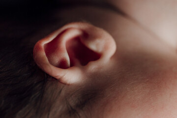 Fototapeta premium A baby's ear is shown in detail, with the image conveying a sense of intimacy and tenderness