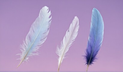 Naklejka premium Soft bird pastel color feathers