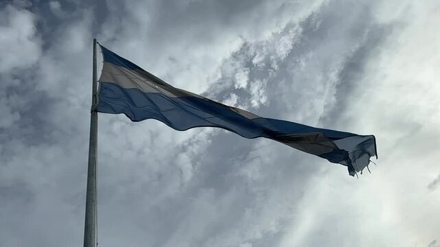 bandera argentina flameando sobre sol, cielo azul	
