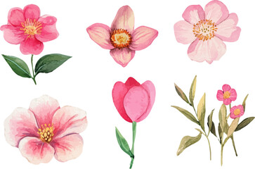 Romantic Watercolor Spring Flowers Clipart