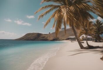 Naklejka premium Palm Beach In Tropical Paradise Guadalupe Island Caribbean