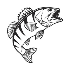 American Yellow Perch Fish Vector Art and Illustration