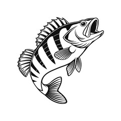 American Yellow Perch Fish Vector Art and Illustration