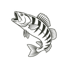 American Yellow Perch Fish Vector Art and Illustration