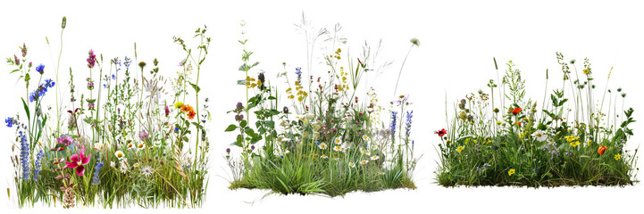 A vibrant display of diverse wildflowers showcasing various colors and shapes, creating a lush, natural environment.