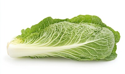 A green leafy vegetable with white veins