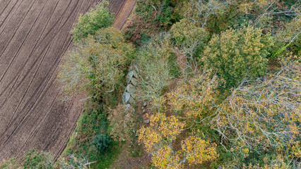 keltisches Grabmal, mystischer Ort, die Allée de Couverte de Lesconil