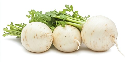 Fresh white round Daikon radish displayed on a clean white background, highlighting the vibrant texture and color of the Daikon radish for an appealing visual presentation.