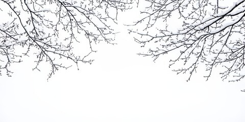 Fototapeta premium Snow covered branches of trees set against a bright white sky create a winter wonderland scene. This winter imagery showcases the beauty of snowy branches in a serene environment.