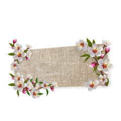 Tung blossom flower illustration design background text tamplate