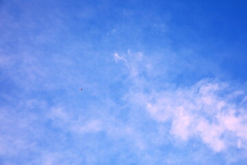 上空を飛ぶ飛行機