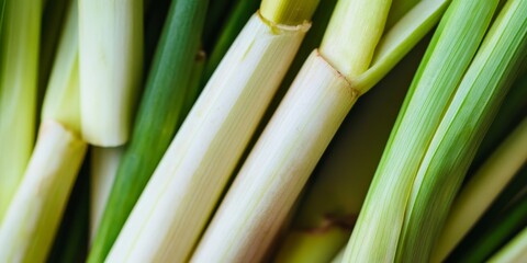 Fototapeta premium Close up macro image of fresh lemongrass, showcasing the vibrant details and textures of fresh lemongrass in a food background, emphasizing the freshness and appeal of fresh lemongrass.