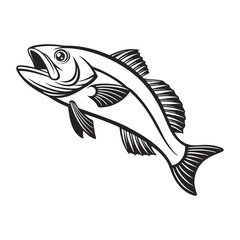 Atlantic Croaker Fish Vector Art and Illustration