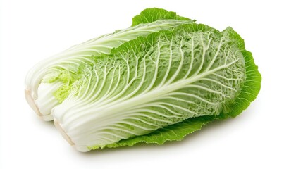 A head of lettuce with a green stem