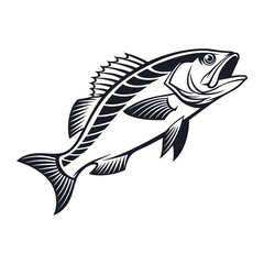 Atlantic Croaker Fish Vector Art and Illustration