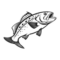 Atlantic Croaker Fish Vector Art and Illustration
