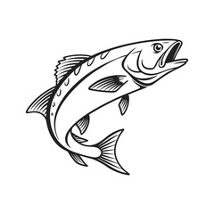 Atlantic Croaker Fish Vector Art and Illustration