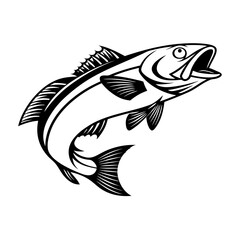 Atlantic Croaker Fish Vector Art and Illustration