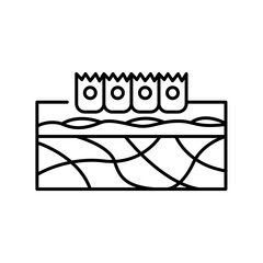extracellular matrix black line icon.