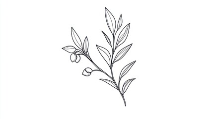 Obraz premium Simple line drawing of a sprig with leaves and berries.
