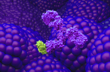 Monoclonal antibody treatment in Prostate cancer - closeup view 3d illustration