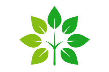 green leaves isolated on white background