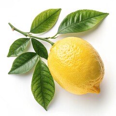 juicy lemon with leaves on a white background