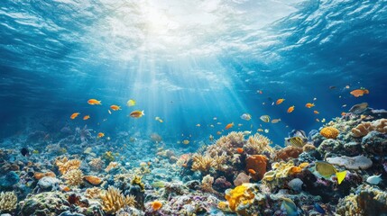 Fototapeta premium Underwater scene showcasing vibrant coral reefs and colorful fish illuminated by sunlight.